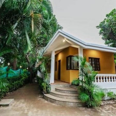 Red Soil Cozy Cottages- 瓦加托 外观 照片